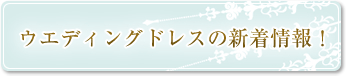 EGfBOhX̐VI