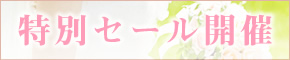 EFfBOhX ʃZ[J