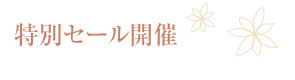 @݌Ɉ|Z[